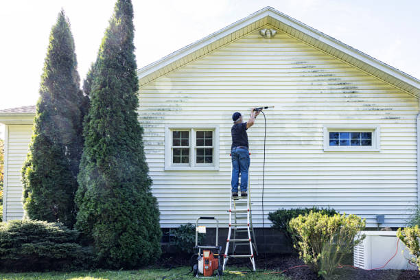 Best Roof Pressure Washing  in Grayling, MI