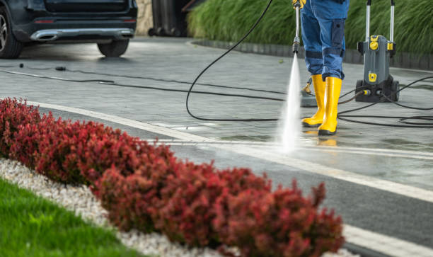 Best Sidewalk Pressure Washing  in Grayling, MI