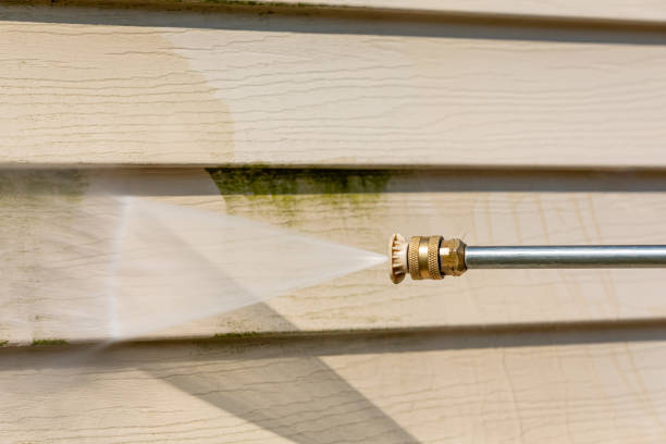 Best Deck Cleaning Services  in Grayling, MI
