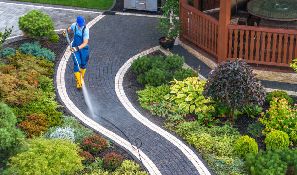 Roof Power Washing Services in Grayling, MI